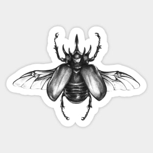 Rhinoceros beetle Sticker